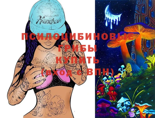 стафф Белокуриха