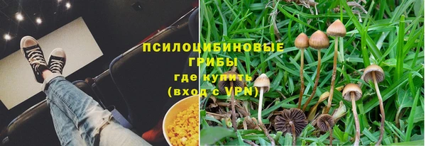 стафф Белокуриха
