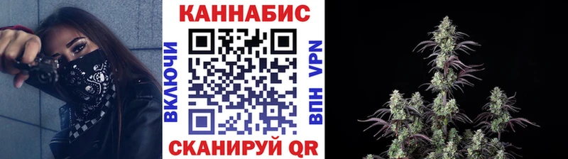Бошки марихуана Amnesia  Шали 
